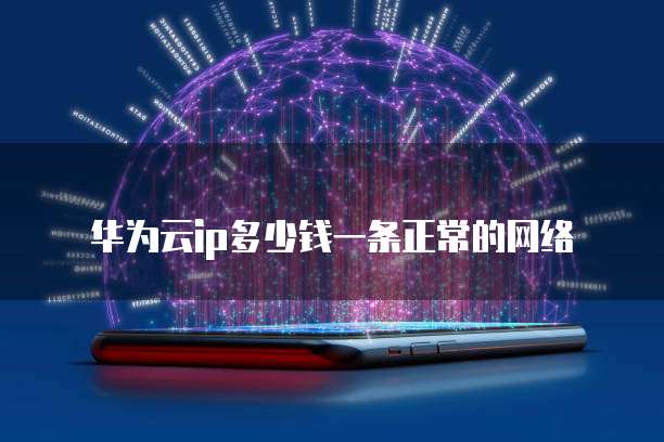 华为云ip多少钱一条正常的网络