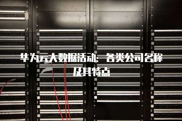 华为云大数据活动:各类公司名称及其特点