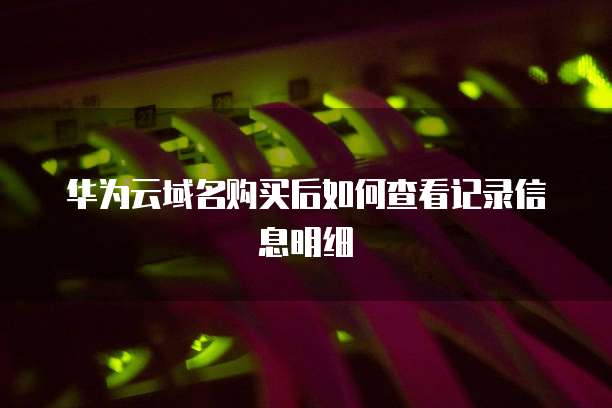 华为云域名购买后如何查看记录信息明细