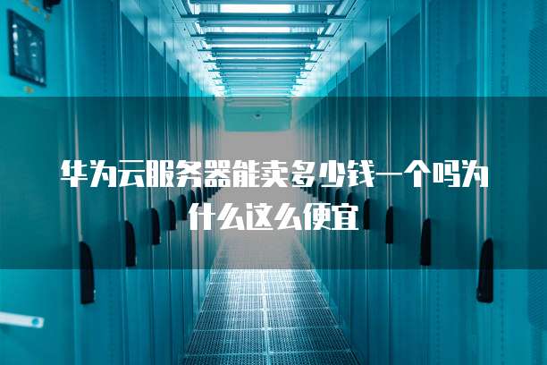 华为云服务器能卖多少钱一个吗为什么这么便宜
