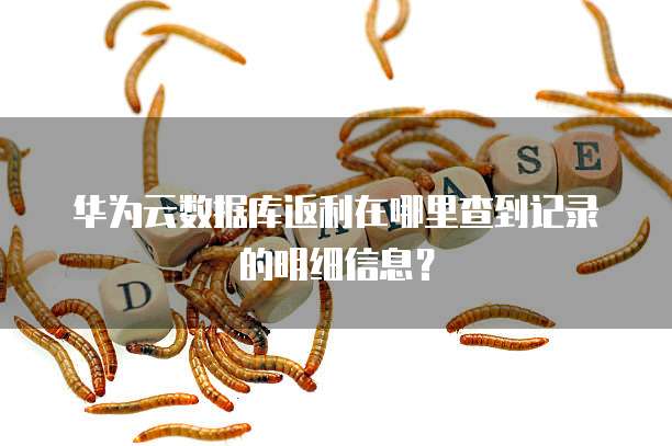 华为云数据库返利在哪里查到记录的明细信息?