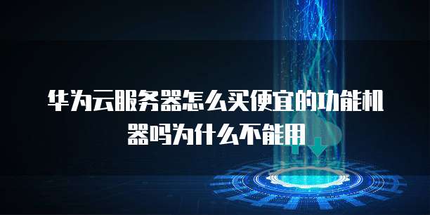 华为云服务器怎么买便宜的功能机器吗为什么不能用