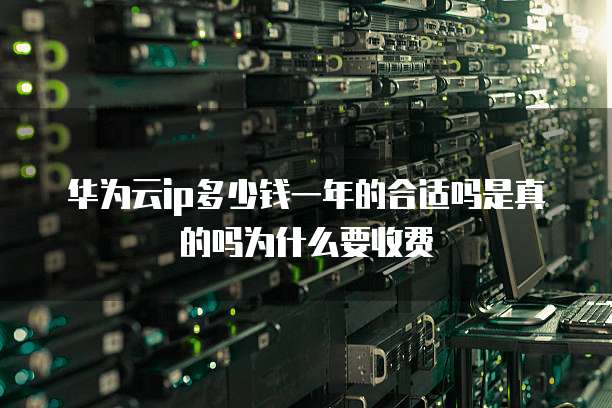 华为云ip多少钱一年的合适吗是真的吗为什么要收费