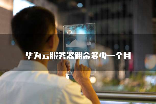 华为云服务器佣金多少一个月