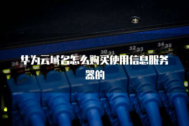 华为云域名怎么购买使用信息服务器的