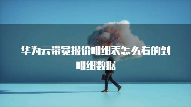 华为云带宽报价明细表怎么看的到明细数据