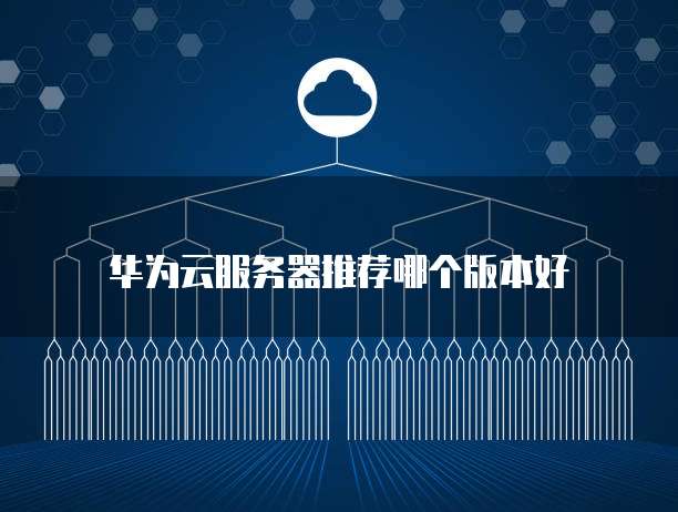 华为云服务器推荐哪个版本好