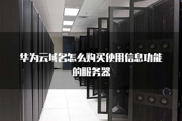 华为云域名怎么购买使用信息功能的服务器