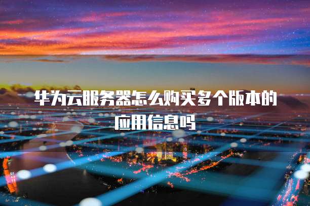 华为云服务器怎么购买多个版本的应用信息吗