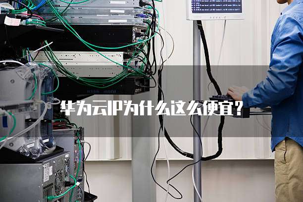 华为云IP为什么这么便宜?