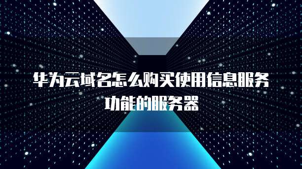 华为云域名怎么购买使用信息服务功能的服务器