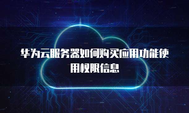 华为云服务器如何购买应用功能使用权限信息