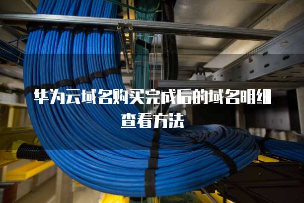 华为云域名购买完成后的域名明细查看方法