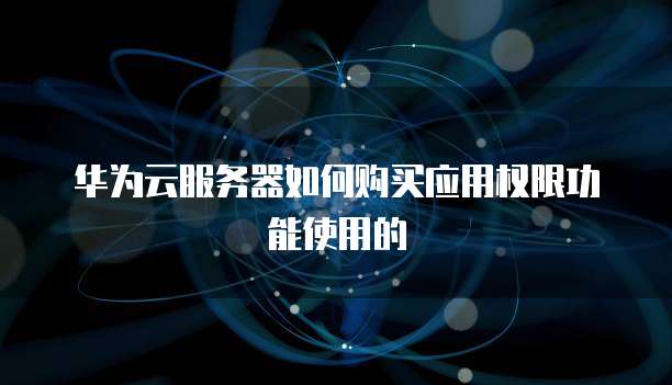 华为云服务器如何购买应用权限功能使用的