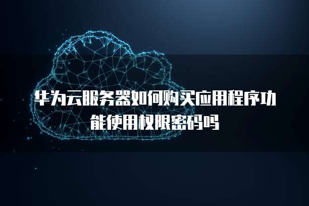 华为云服务器如何购买应用程序功能使用权限密码吗