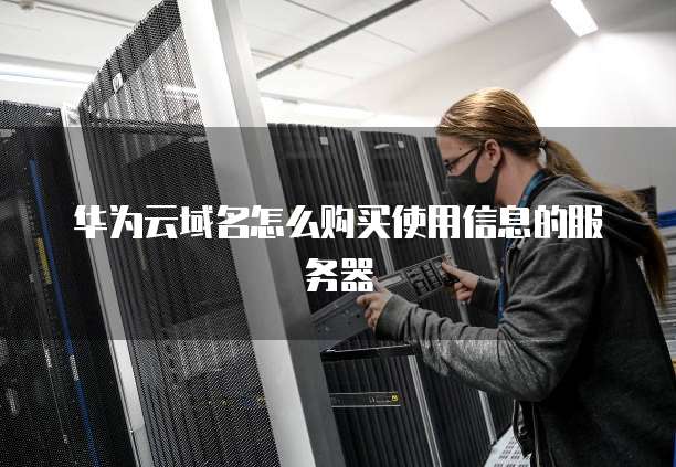 华为云域名怎么购买使用信息的服务器