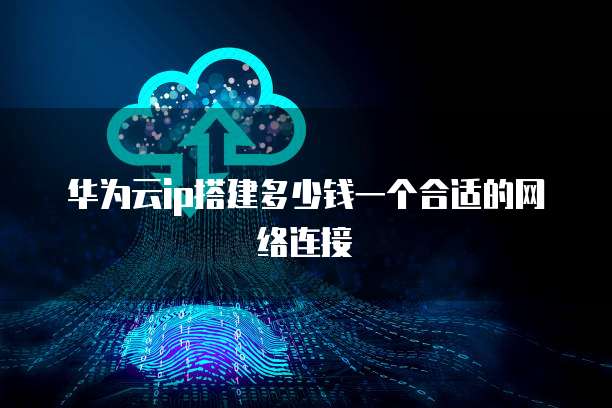 华为云ip搭建多少钱一个合适的网络连接