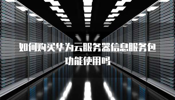 如何购买华为云服务器信息服务包功能使用吗