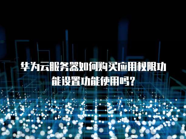 华为云服务器如何购买应用权限功能设置功能使用吗?