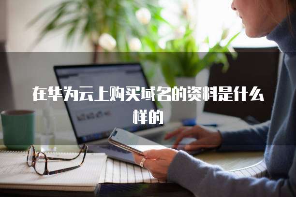 在华为云上购买域名的资料是什么样的