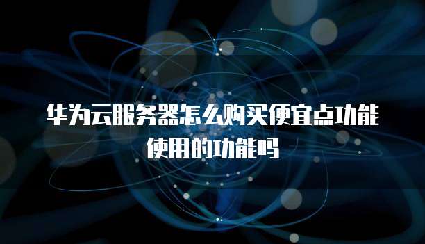 华为云服务器怎么购买便宜点功能使用的功能吗