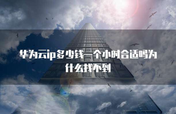 华为云ip多少钱一个小时合适吗为什么找不到