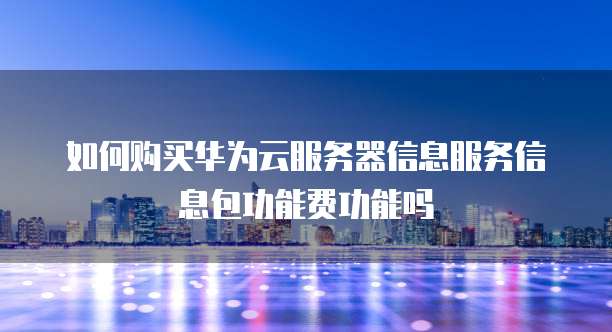 如何购买华为云服务器信息服务信息包功能费功能吗