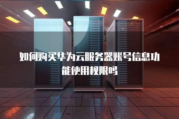如何购买华为云服务器账号信息功能使用权限吗