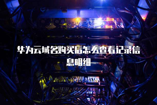 华为云域名购买后怎么查看记录信息明细