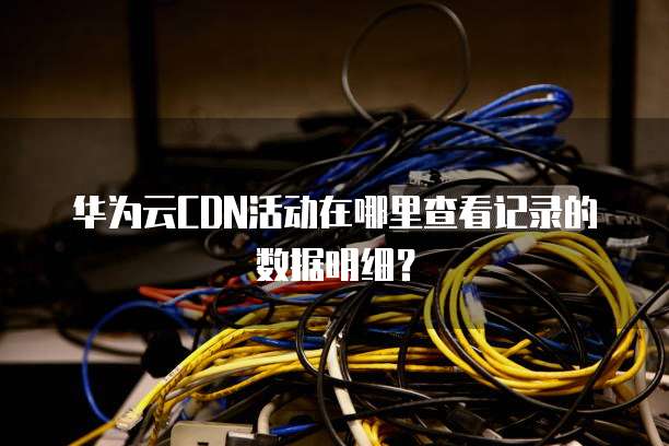 华为云CDN活动在哪里查看记录的数据明细?