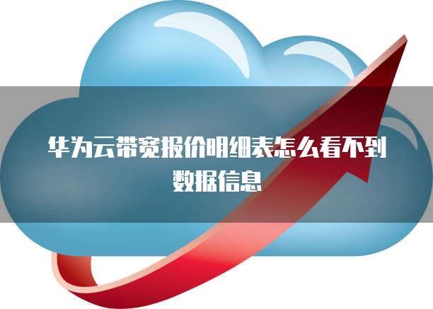华为云带宽报价明细表怎么看不到数据信息
