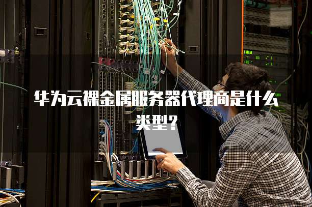 华为云裸金属服务器代理商是什么类型?