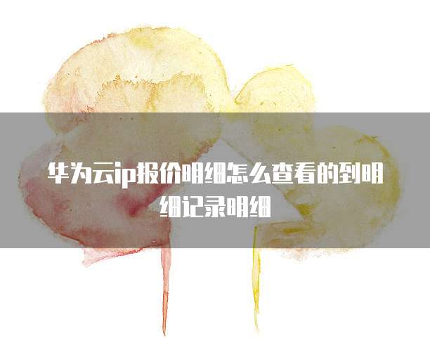华为云ip报价明细怎么查看的到明细记录明细