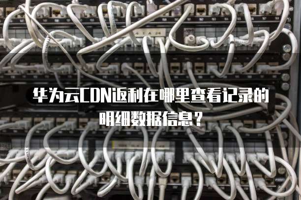 华为云CDN返利在哪里查看记录的明细数据信息？