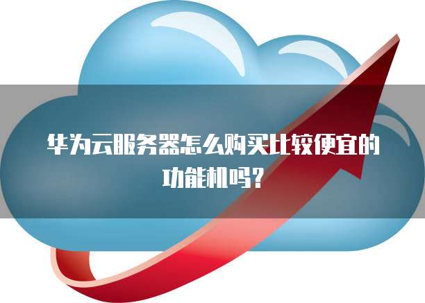 华为云服务器怎么购买比较便宜的功能机吗？