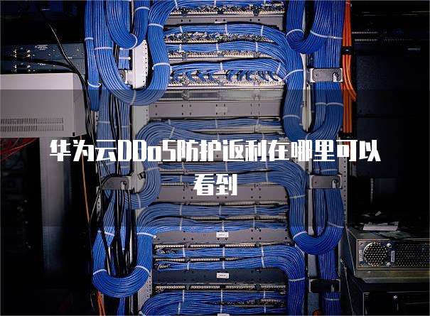 华为云DDoS防护返利在哪里可以看到