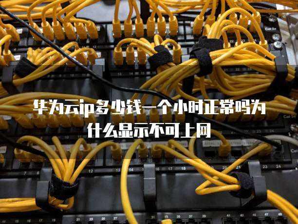 华为云ip多少钱一个小时正常吗为什么显示不可上网