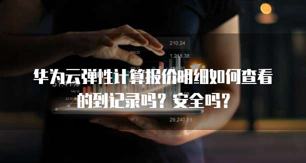 华为云弹性计算报价明细如何查看的到记录吗?安全吗?