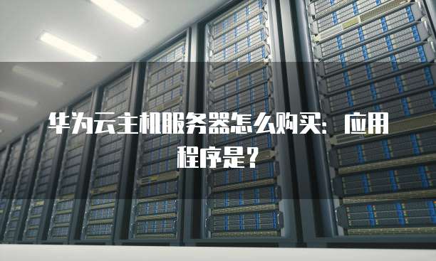 华为云主机服务器怎么购买:应用程序是?