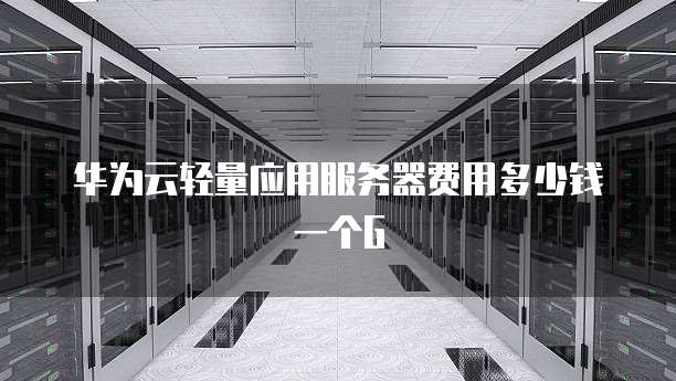 华为云轻量应用服务器费用多少钱一个G