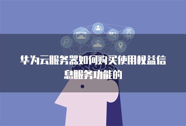 华为云服务器如何购买使用权益信息服务功能的