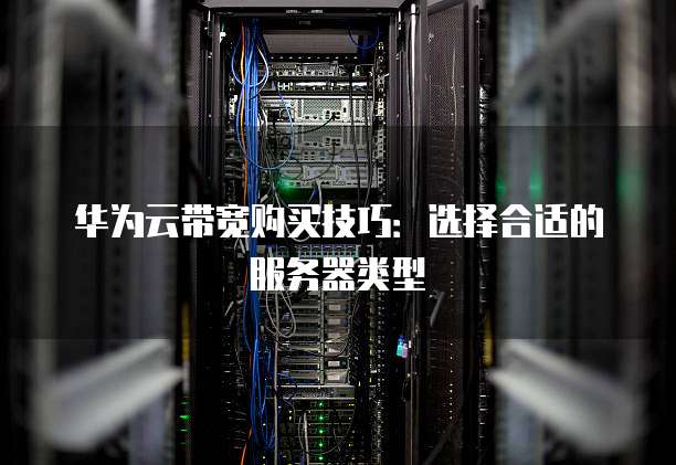 华为云带宽购买技巧:选择合适的服务器类型