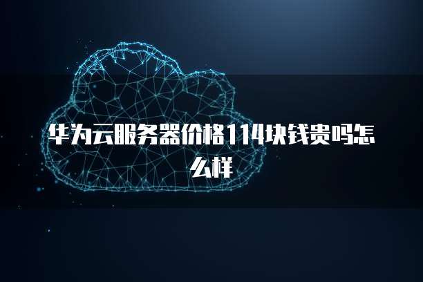 华为云服务器价格114块钱贵吗怎么样