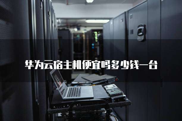华为云宿主机便宜吗多少钱一台
