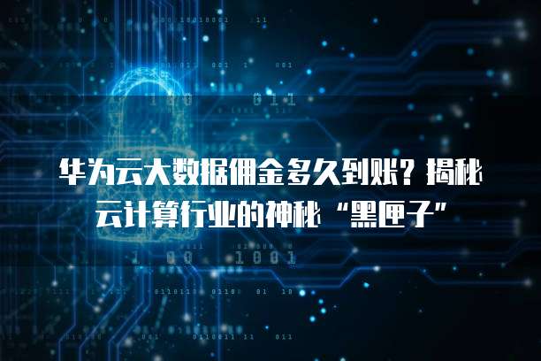 华为云大数据佣金多久到账?揭秘云计算行业的神秘“黑匣子”