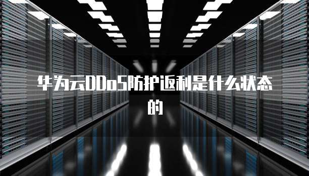 华为云DDoS防护返利是什么状态的