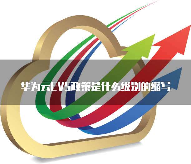 华为云EVS政策是什么级别的缩写