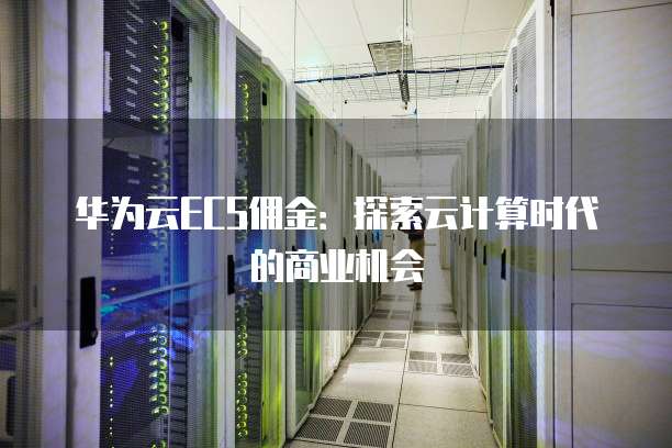 华为云ECS佣金:探索云计算时代的商业机会