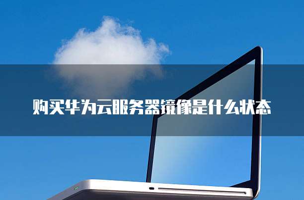 购买华为云服务器镜像是什么状态