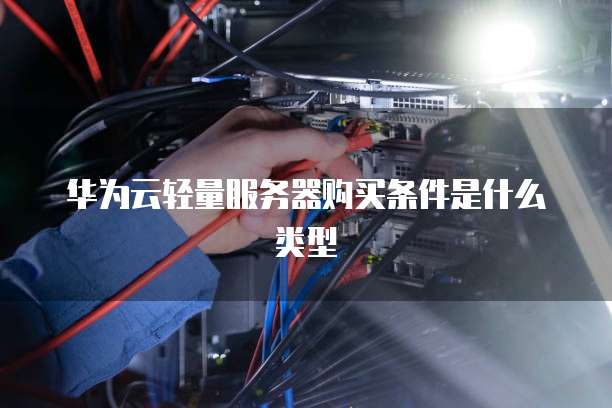 华为云轻量服务器购买条件是什么类型